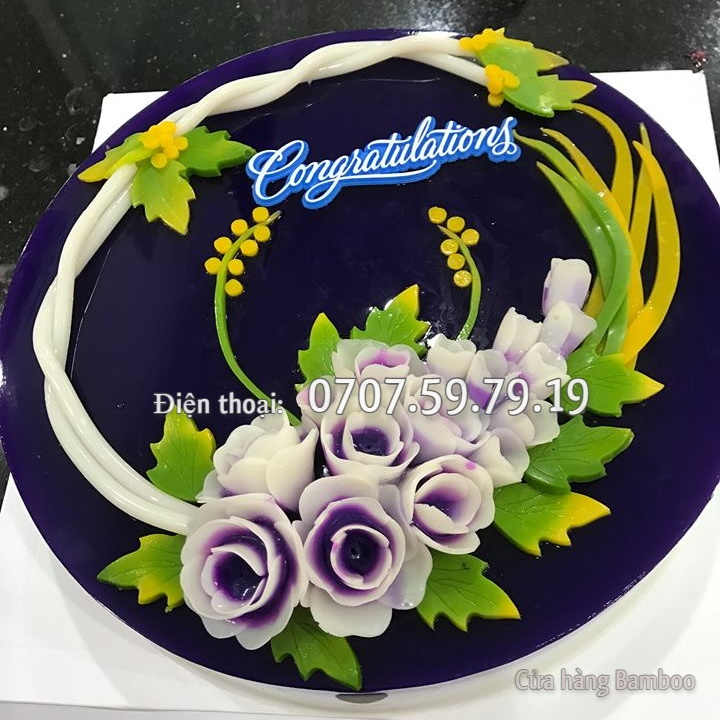 Khuôn nhựa loại 20 cm làm bánh, rau câu, ép xôi, nhận cơm dùng đãi tiệc, thôi nôi, sinh nhật, cưới hỏi - Mã số 1514