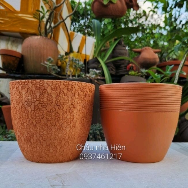 Chậu đất nung - chậu trứng nhỏ miệng 15.5, cao 14