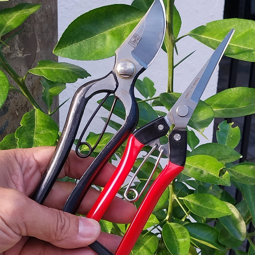 Kéo cắt cành nội địa Japan bằng thép đúc nguyên khối không gỉ