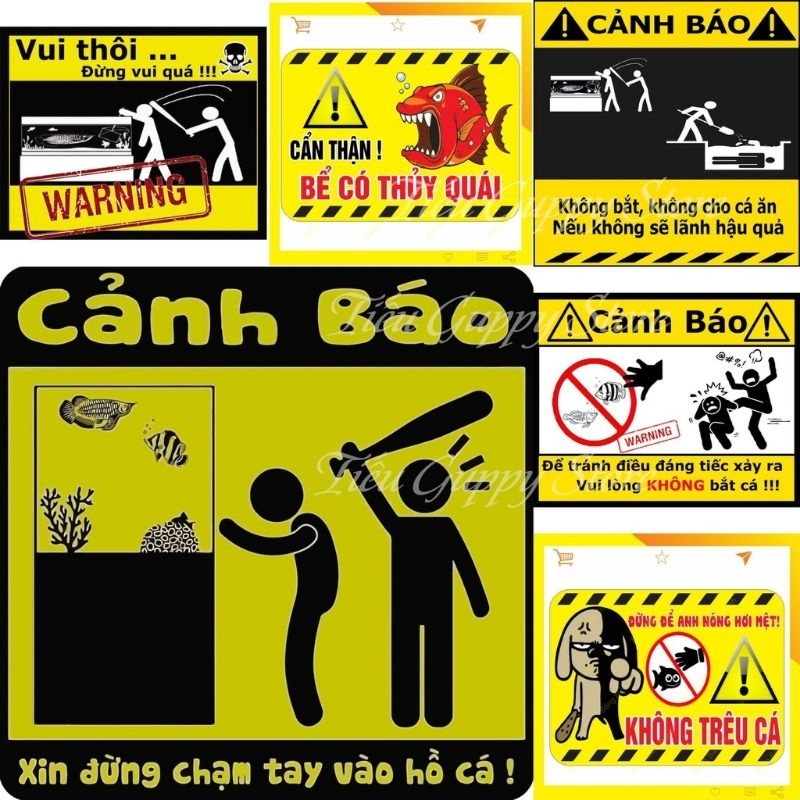 Decal cảnh báo vui nhộn hồ cá - Xanh Guppy