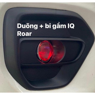 Dưỡng bi gầm kia rondo