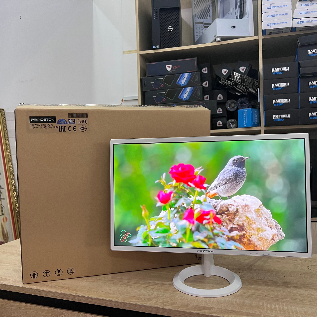 Màn hình Princeton 22inch Full HD / DVI - VGA - HDMI có loa Fullbox