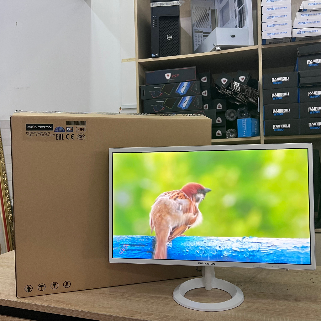 Màn hình Princeton 22inch Full HD / DVI - VGA - HDMI có loa Fullbox