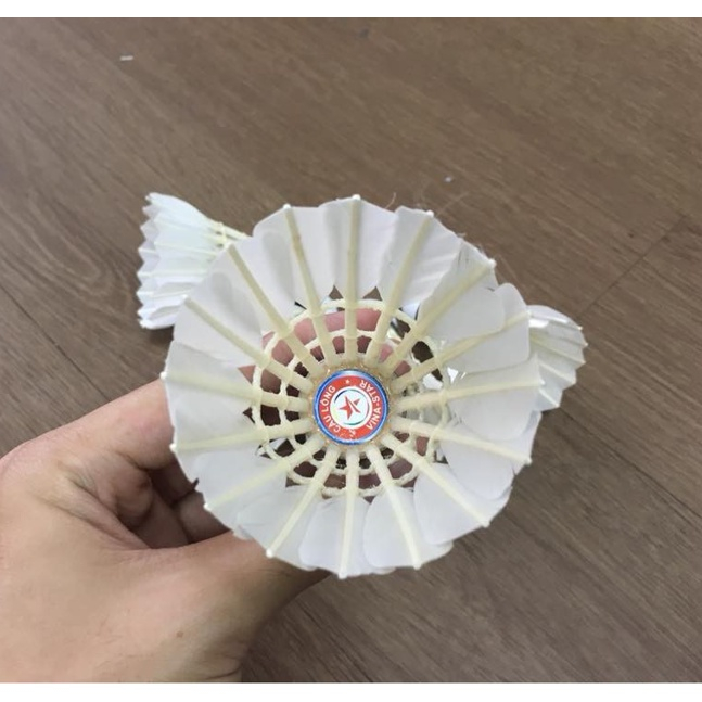 Ống Cầu Lông VINA STAR Đỏ