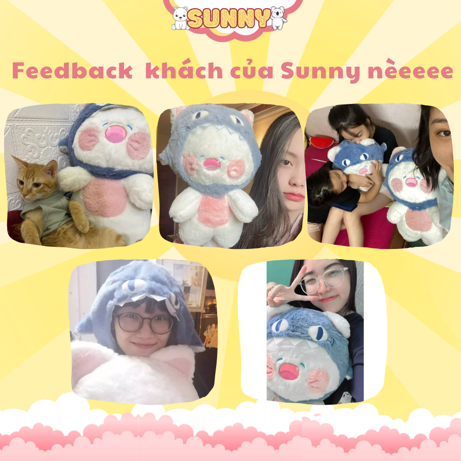 Gấu mèo Dudu đội mũ Cá Mập siêu xinh tặng kèm giấy nhận nuôi, gấu bông chính hãng cao cấp  Sunny