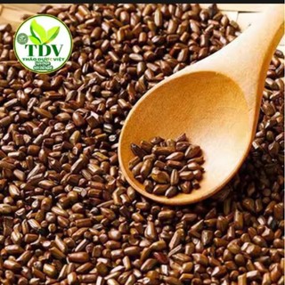 Hạt muồng( thảo khuyết minh) giá sỉ 10kg