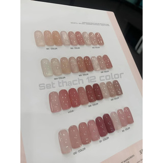 Set sơn thạch 12 màu set sơn thạch tone hồng nude hàng chính hãng chất sơn cao cấp tặng kèm bảng màu gỗ hachinail