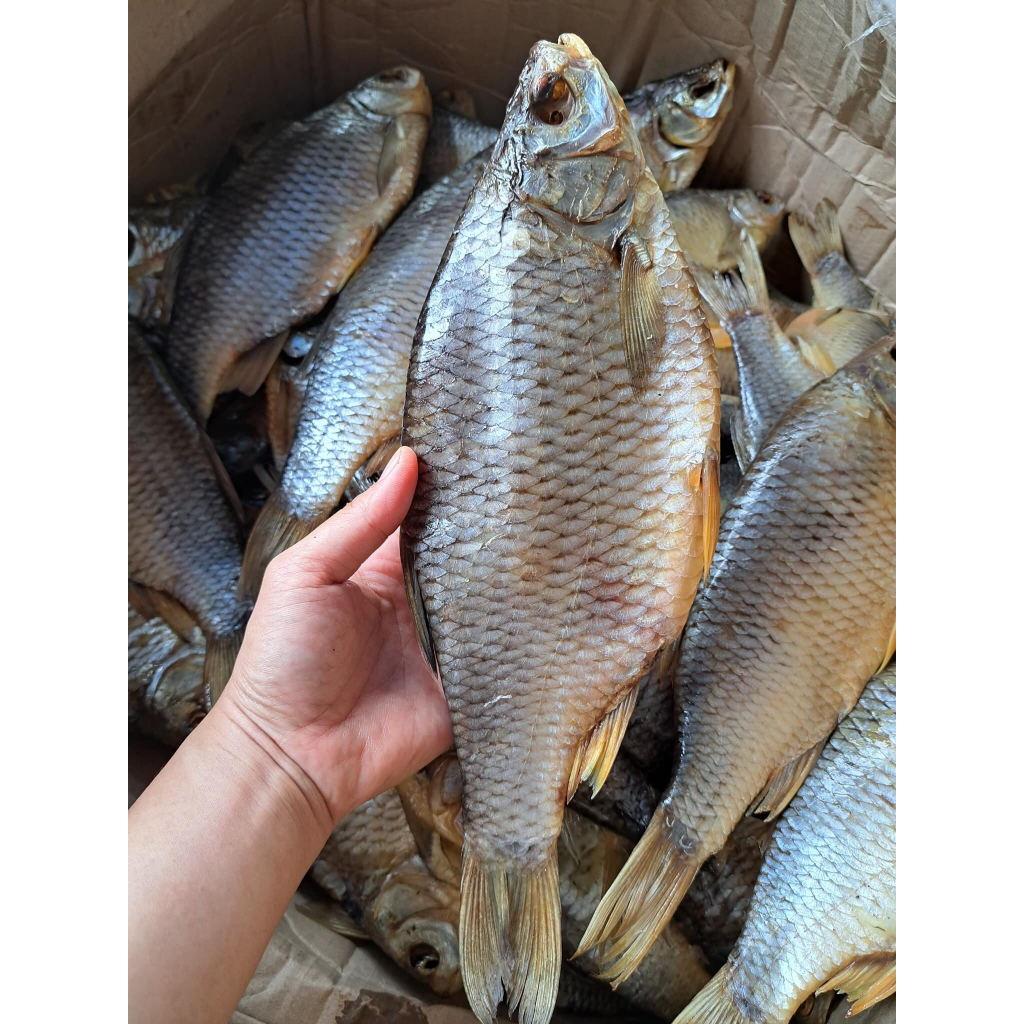 Cá khô astrakhan đặc sản theo mùa của nga