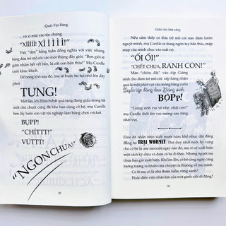 Sách - Quái Vật Băng (David Walliams)
