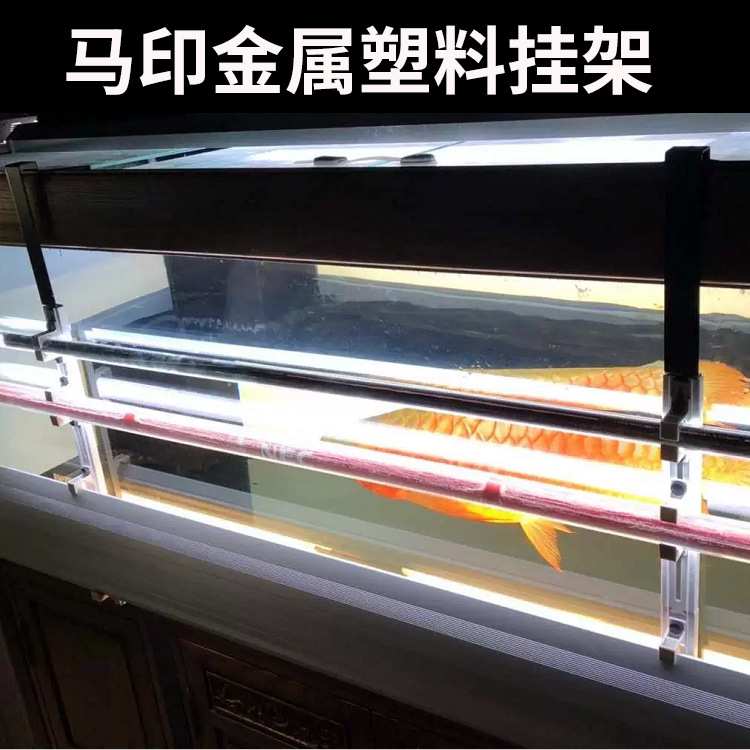 Đèn T5 Mayin 2 Hàng Bóng và 1 Led Xanh Dương - Đèn Led Tanning Cá Rồng Mayin Atomic Light