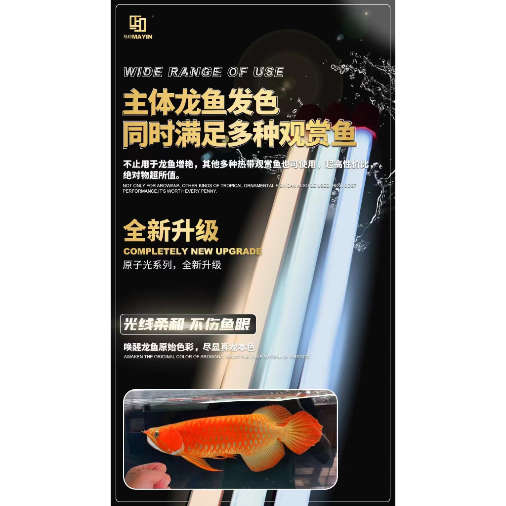 Đèn T5 Mayin 2 Hàng Bóng và 1 Led Xanh Dương - Đèn Led Tanning Cá Rồng Mayin Atomic Light
