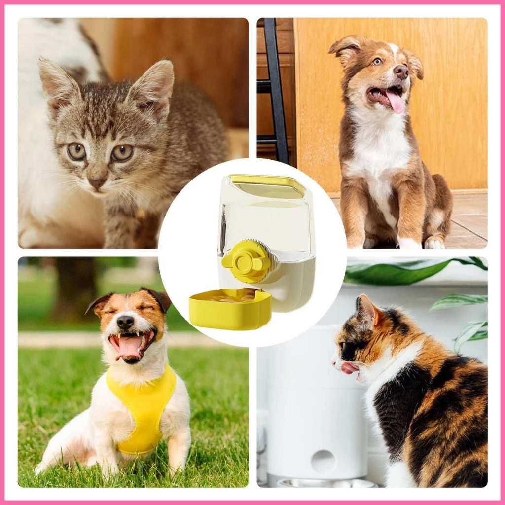Bình hạt tự động gắn chuồng cho thú cưng chó mèo
