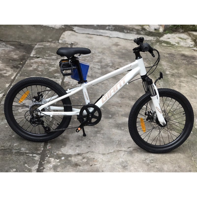 Xe đạp MTB Giant MTX bánh 20inch