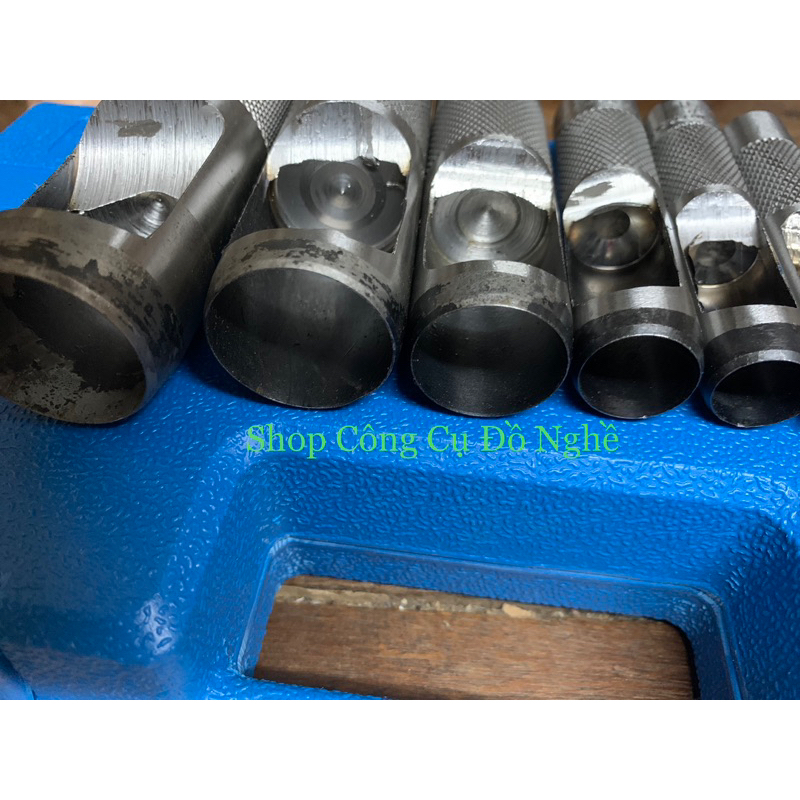 Cây đục lỗ da đầu tròn lẻ