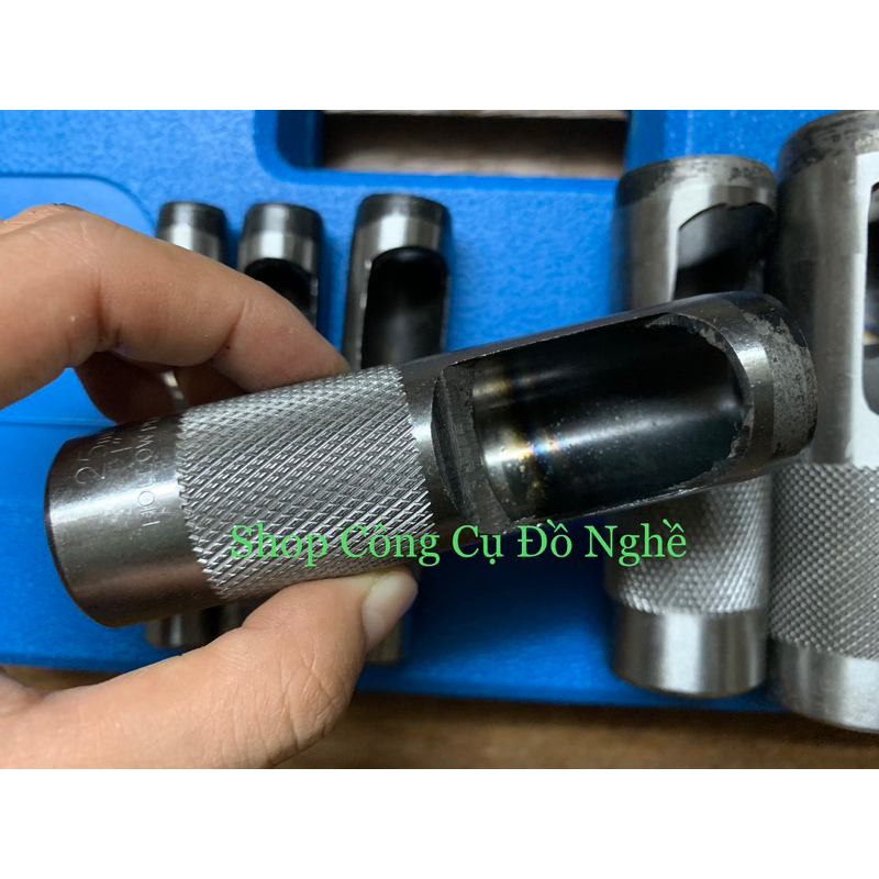 Cây đục lỗ da đầu tròn lẻ