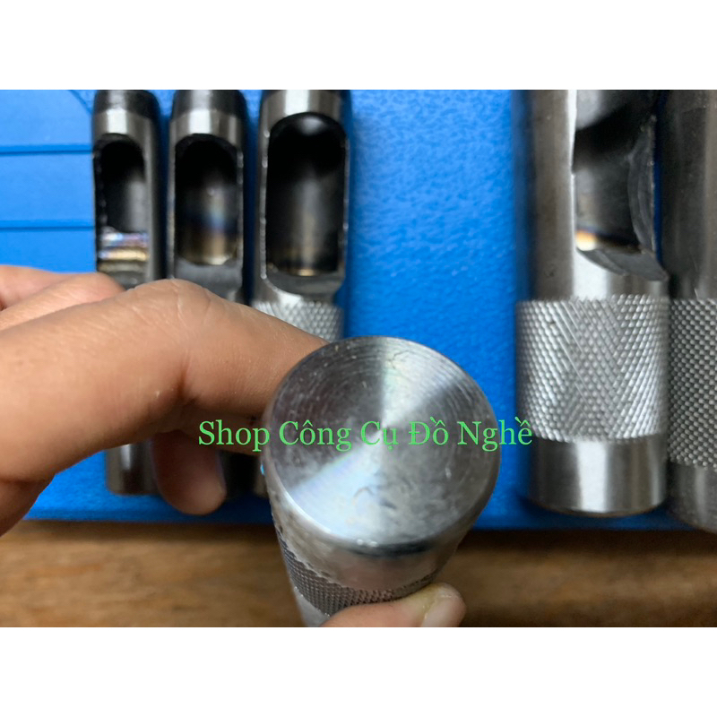 Cây đục lỗ da đầu tròn lẻ