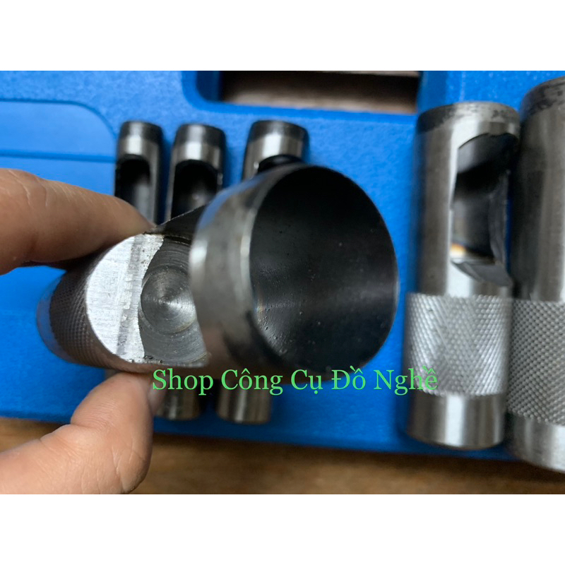 Cây đục lỗ da đầu tròn lẻ