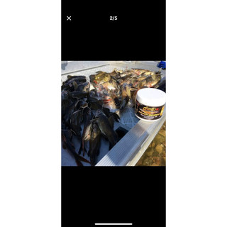 MỒI CÂU CÁ LĂNG THÁI LAN NHÃN ĐEN 200g
