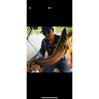 MỒI CÂU CÁ LĂNG THÁI LAN NHÃN ĐEN 200g
