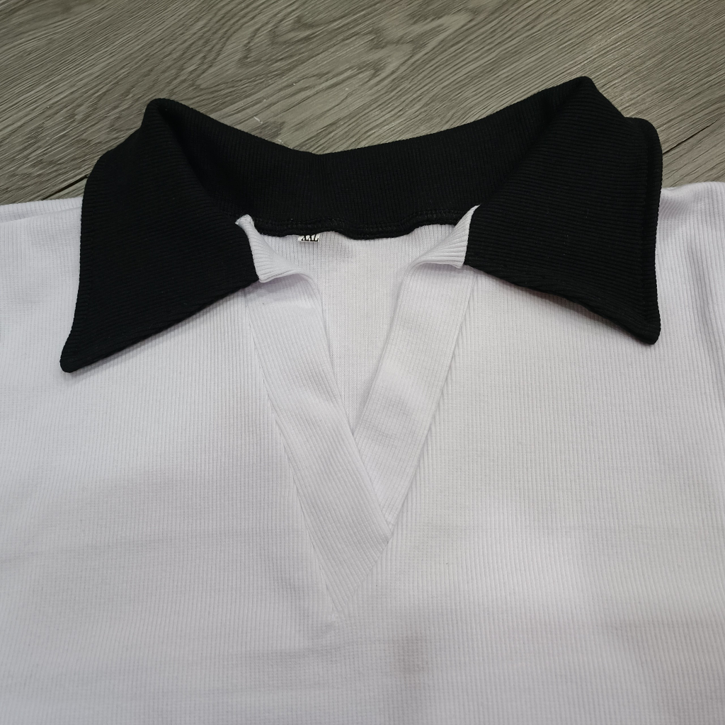 Áo PoLo cổ V phối màu nữ bigsize
