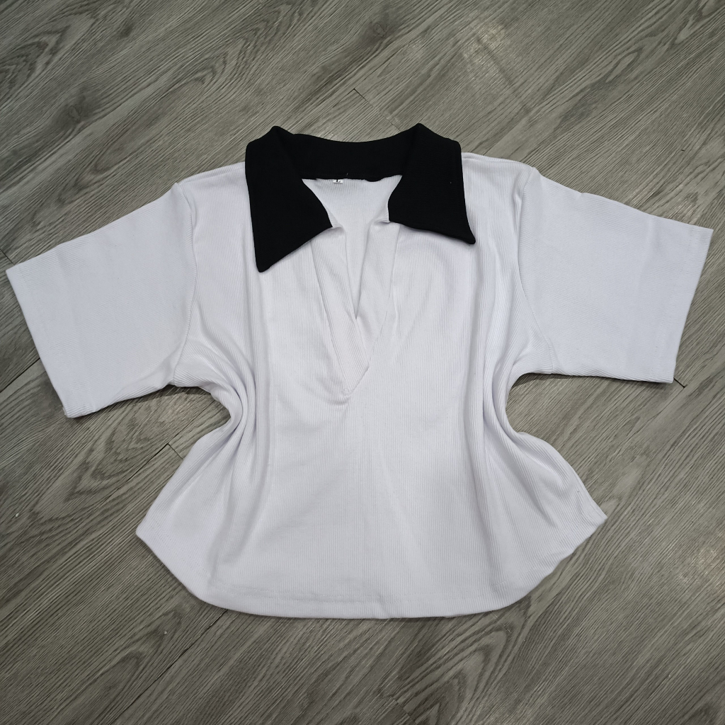 Áo PoLo cổ V phối màu nữ bigsize