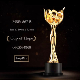 Kỷ niệm chương 567-b lưu niệm cúp bóng đá thể thao cup lưu niệm pha lê cờ giá rẻ xịn huy chương vàng cúp vàng