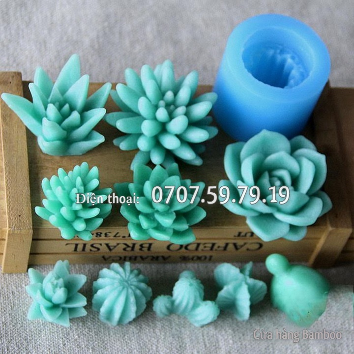 Bộ khuôn silicon hồ cá thuỷ sinh sen đá, xương rồng, cá chép - Khuôn silicon làm bánh, rau câu - Mã số 1071