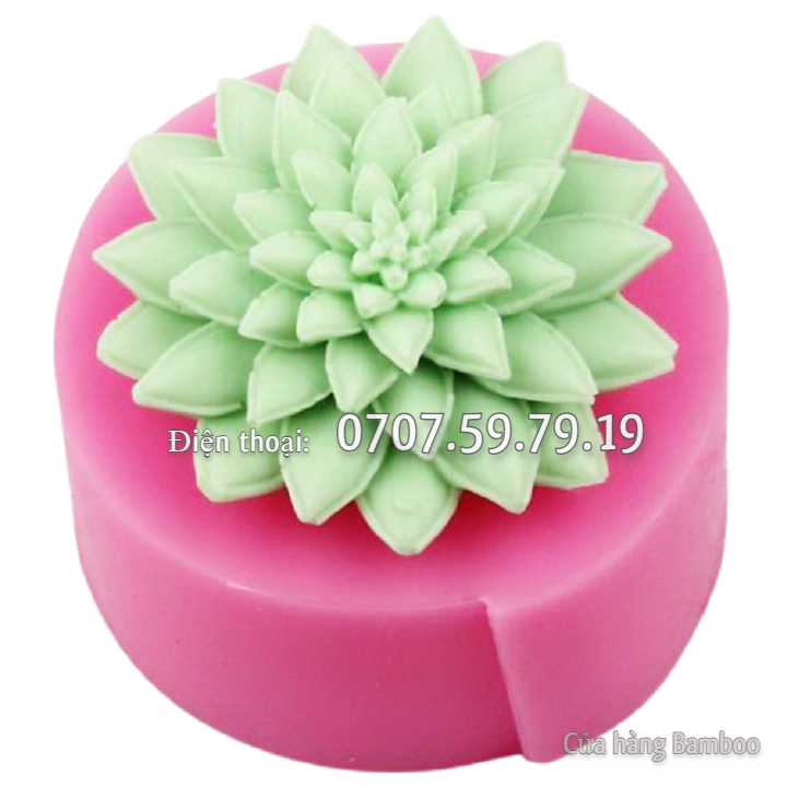 Bộ khuôn silicon hồ cá thuỷ sinh sen đá, xương rồng, cá chép - Khuôn silicon làm bánh, rau câu - Mã số 1071