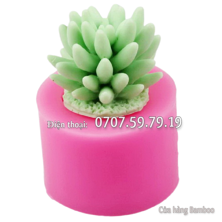 Bộ khuôn silicon hồ cá thuỷ sinh sen đá, xương rồng, cá chép - Khuôn silicon làm bánh, rau câu - Mã số 1071