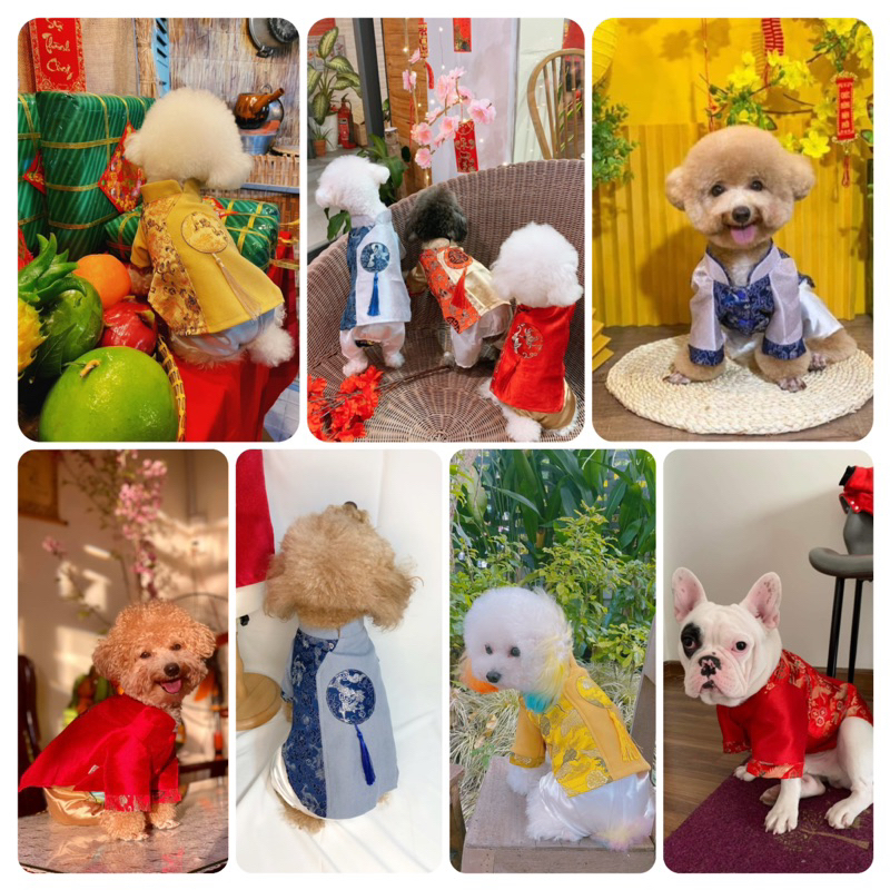 Bộ áo dài Tết cho thú cưng