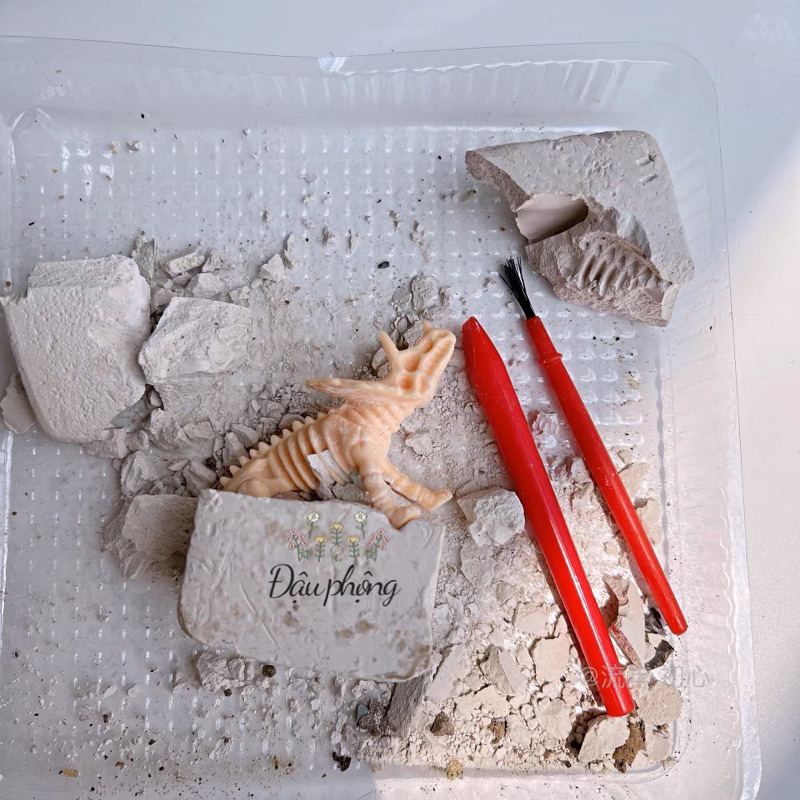 Đồ chơi khảo cổ khai quật tìm kho báu, khủng long, nàng tiên cá từ các viên đá hóa thạch