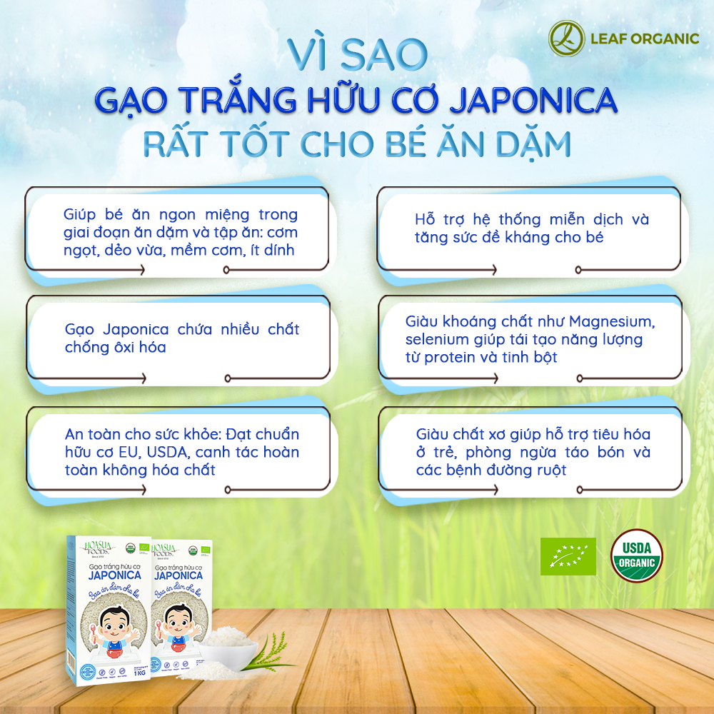 Gạo trắng hữu cơ Japonica, ST25 Hoa Sữa 1kg | BigBuy360 - bigbuy360.vn