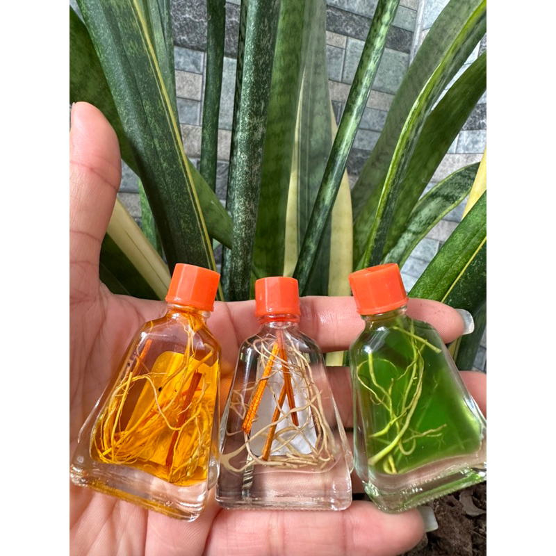 Dầu viêm xoang viêm mũi có thảo dược chai 7ml