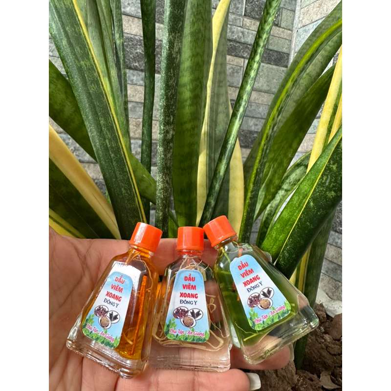 Dầu viêm xoang viêm mũi có thảo dược chai 7ml