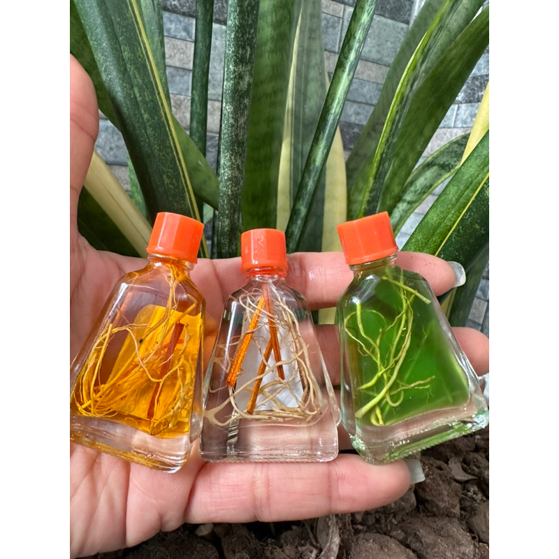Dầu viêm xoang viêm mũi có thảo dược chai 7ml