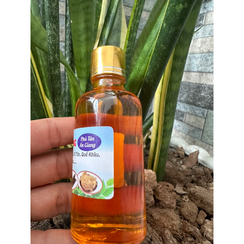 Dầu viêm xoang - Dầu nhức mỏi chai 50ml