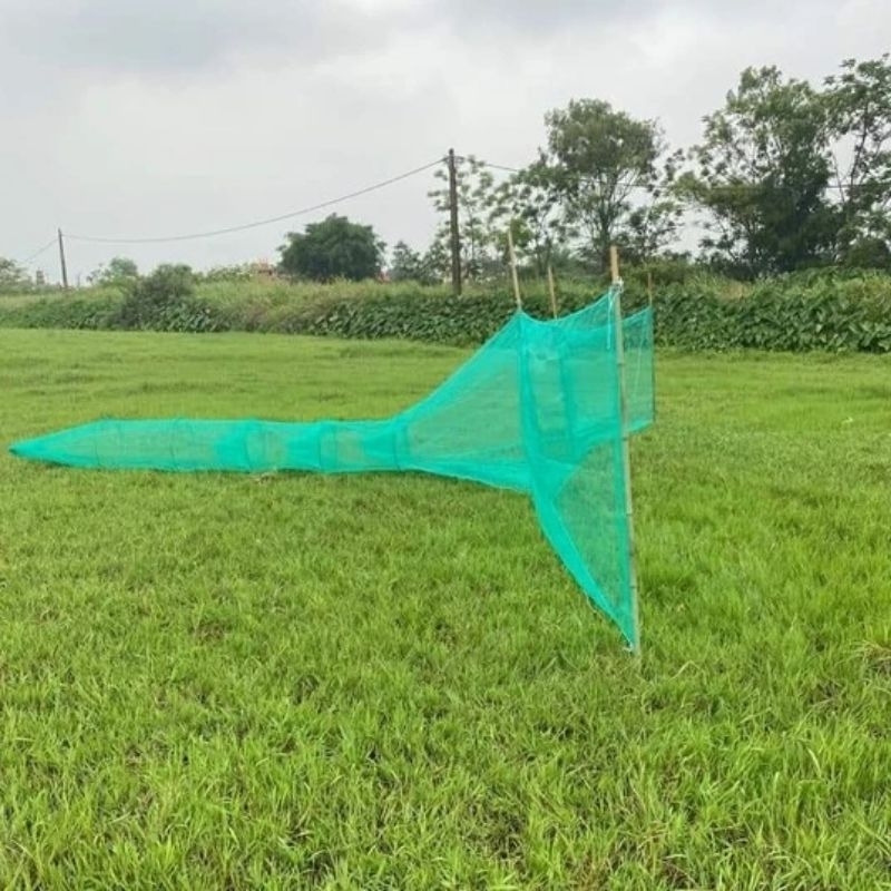 Dớn chặn sông, dớn bắt cá