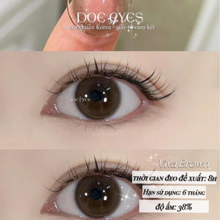 Lens Kính áp tròng [Viva Brown chỉ có 0 độ] - Lens Hàn style douyin -  Kính áp tròng cận
