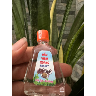 Combo 10 chai dầu viêm xoang nước trắng 7ml