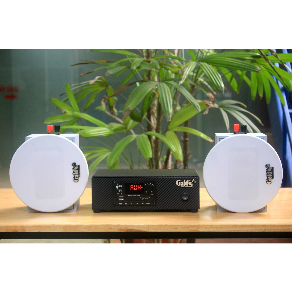 Dàn loa âm trần: 01 amply A2.0 + 2 loa âm trần VAT12 chuyên lắp cho Quán Cafe, spa, quán ăn, quán trà chanh, trà sữa