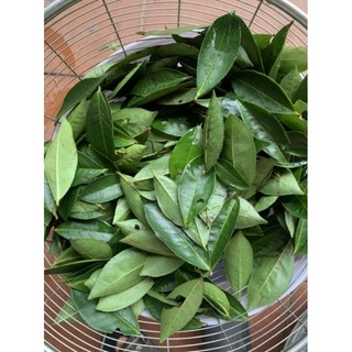 0,5kg lá chè xanh tươi - lá chè sạch 100%