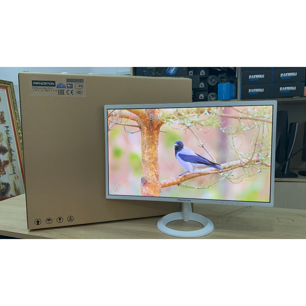 Màn hình Princeton 22inch Full HD / DVI - VGA - HDMI có loa Fullbox