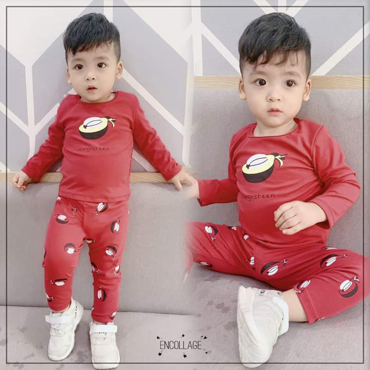 Đồ bộ bé gái dài tay in hình trái cây hot hit Bộ quần áo bé trai và bé gái TTR382