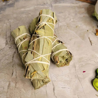 Xô thơm Bạch Đàn (Eucalyptus) Cân Bằng Cảm Xúc & Kích Thích Sáng Tạo l XÔ THƠM THANH TẨY