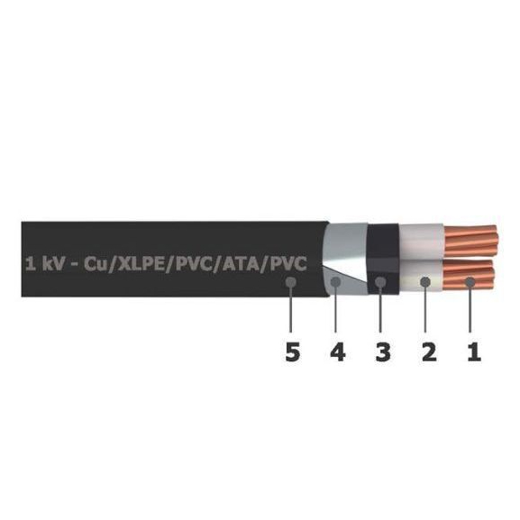 1m Cáp CADISUN Cu/Xlpe/Pvc 0,6/1KV 2x4,0; 2x6,0; 2x10 mm2