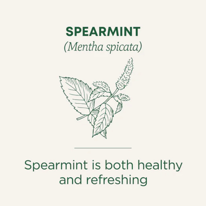Trà Bạc Hà Spearmint Hữu Cơ Traditional Medicinals Organic Spearmint