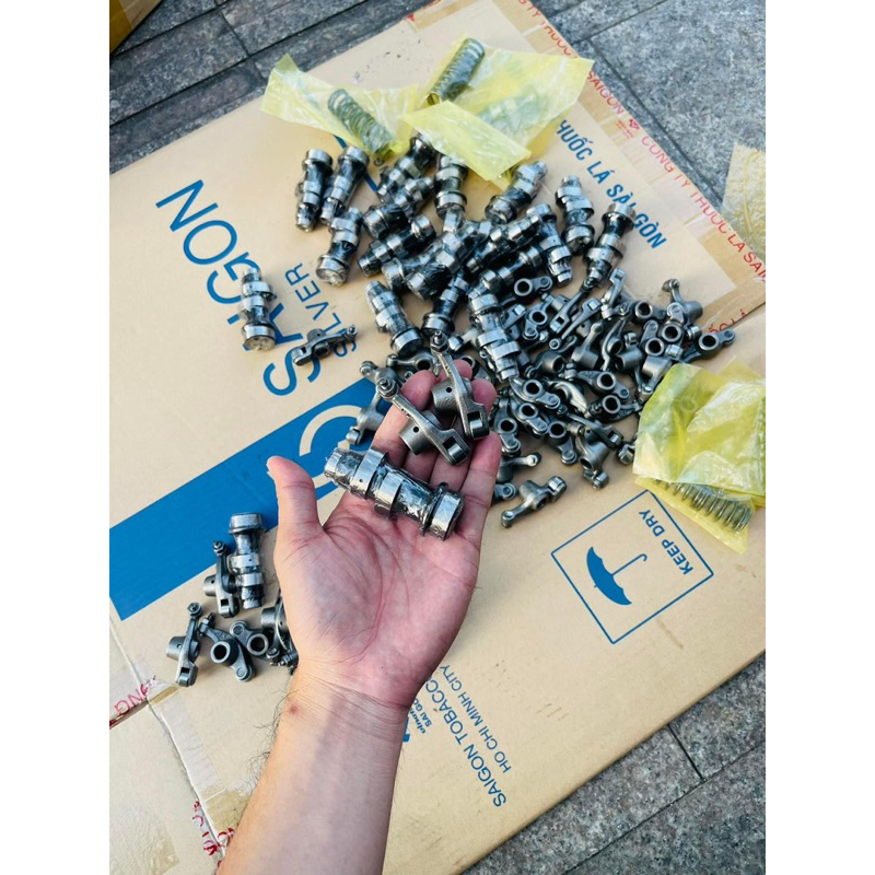 CAM CÒ LĂN REDLEO VN ZIN VÀ VN1