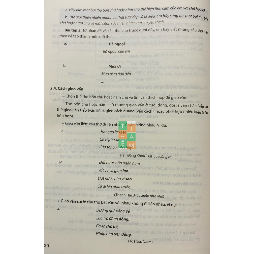 Sách - Rèn kĩ năng Viết theo định hướng phát triển năng lực Văn 7
