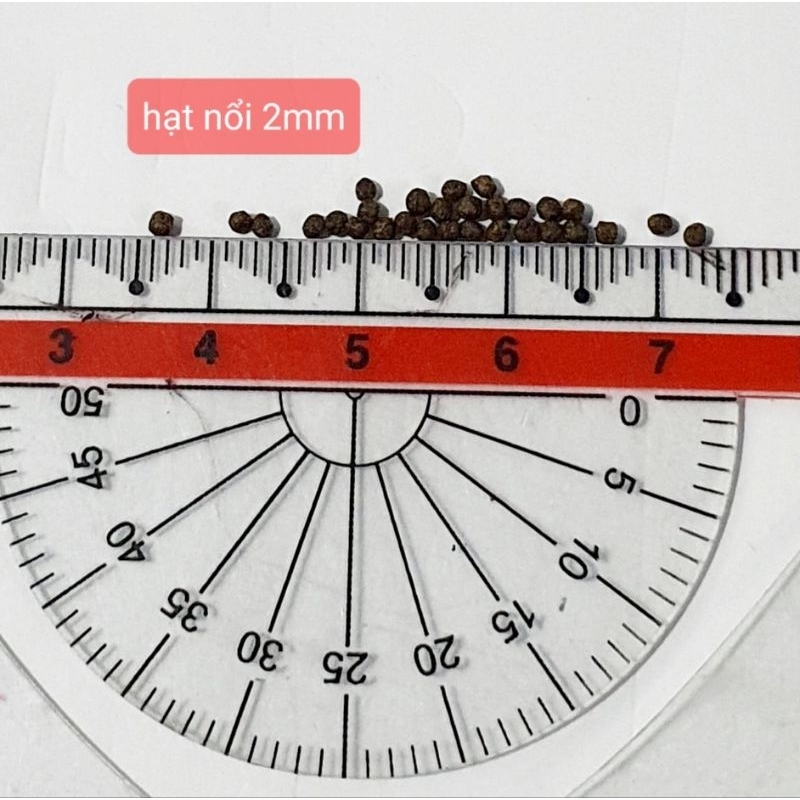 Cám cá vàng vỗ béo 60% ĐẠM chuyên thúc size cá - phù hợp cho tất cả cá cảnh
