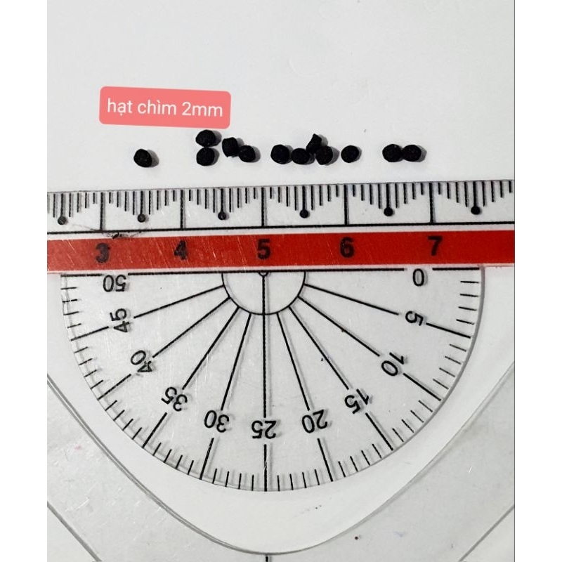 Cám cá vàng vỗ béo 60% ĐẠM chuyên thúc size cá - phù hợp cho tất cả cá cảnh